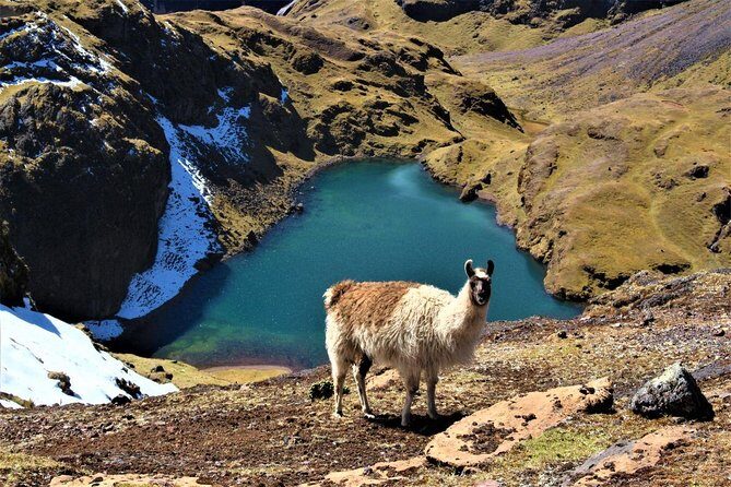 Ultimate Lares Trek & Inca Trail 5 days - Day 4: Chachabamba, Wiñay Huayna, Sun Gate, then an evening that feels almost empty