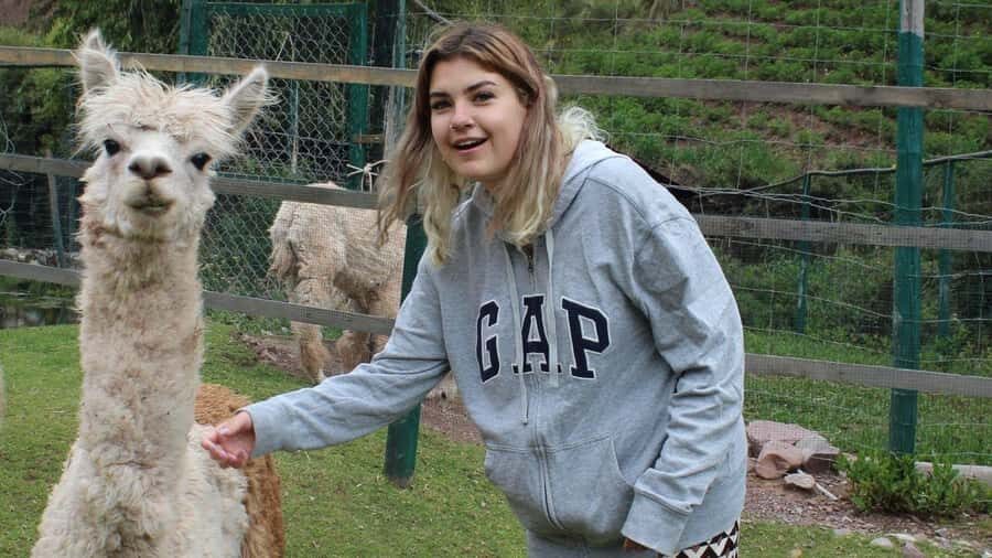 Visit to the Cochahuasi Animal Sanctuary with rescued animal - Price and Value: Is $50 Worth It in Cusco?
