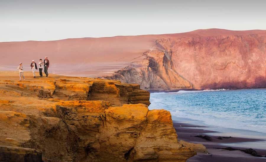 Wonders of Paracas: Ballestas Islands and National Reserve - Key highlights you’ll care about