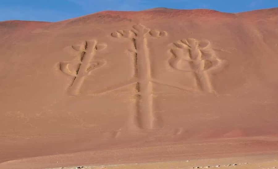 Wonders of Paracas: Ballestas Islands and National Reserve - Timing, Transport, and What to Bring for a Smooth Morning